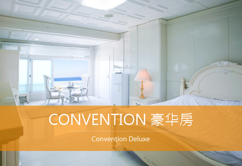 CONVENTION 豪华房