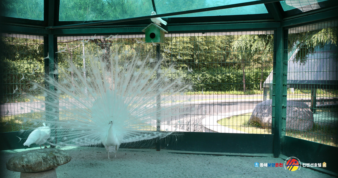 野外公園＆ミニ動物園