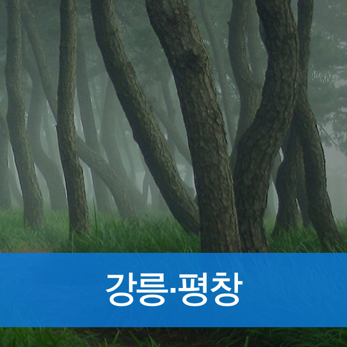 강릉·평창 방향